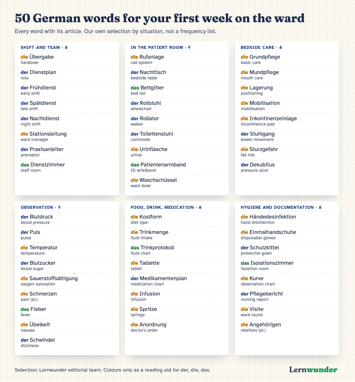 Graphic: 50 German nursing words for the first week, with articles and English meanings, in six groups: shift and team, patient room, bedside care, observation, food and medication, hygiene and documentation.