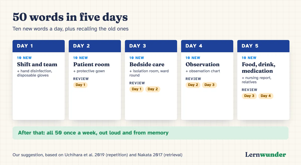 Graphic: Five days, ten new words a day plus review of the old ones. Day 1: shift and team, plus hand disinfection and disposable gloves. Day 2: patient room and protective gown, review day 1. Day 3: bedside care, isolation room and ward round, review days 1 and 2. Day 4: observation and observation chart. Day 5: food, drink, medication, nursing report and relatives. After that: all 50 once a week.