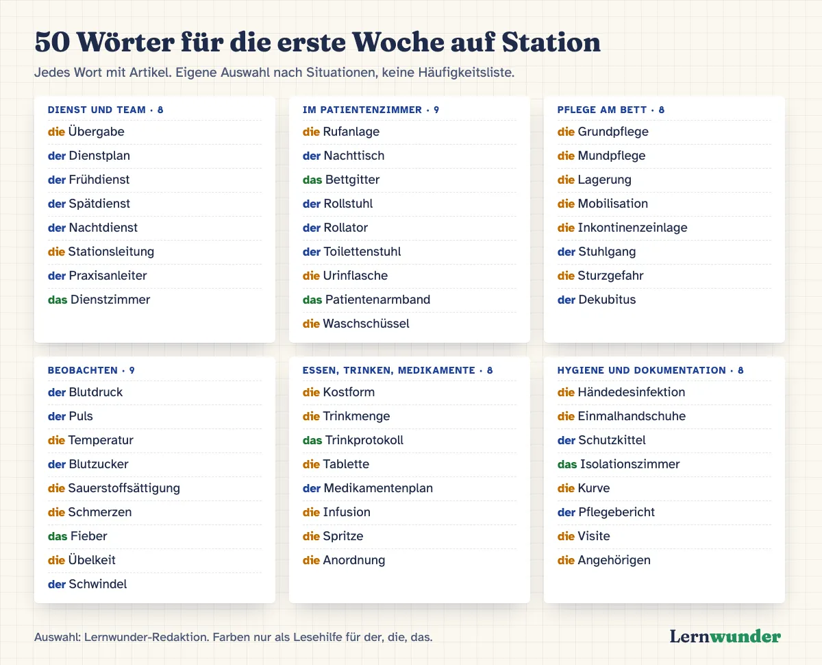 Grafik: 50 Pflegewörter für die erste Woche, mit Artikel, in sechs Gruppen. Dienst und Team, Patientenzimmer, Pflege am Bett, Beobachten, Essen und Medikamente, Hygiene und Dokumentation.