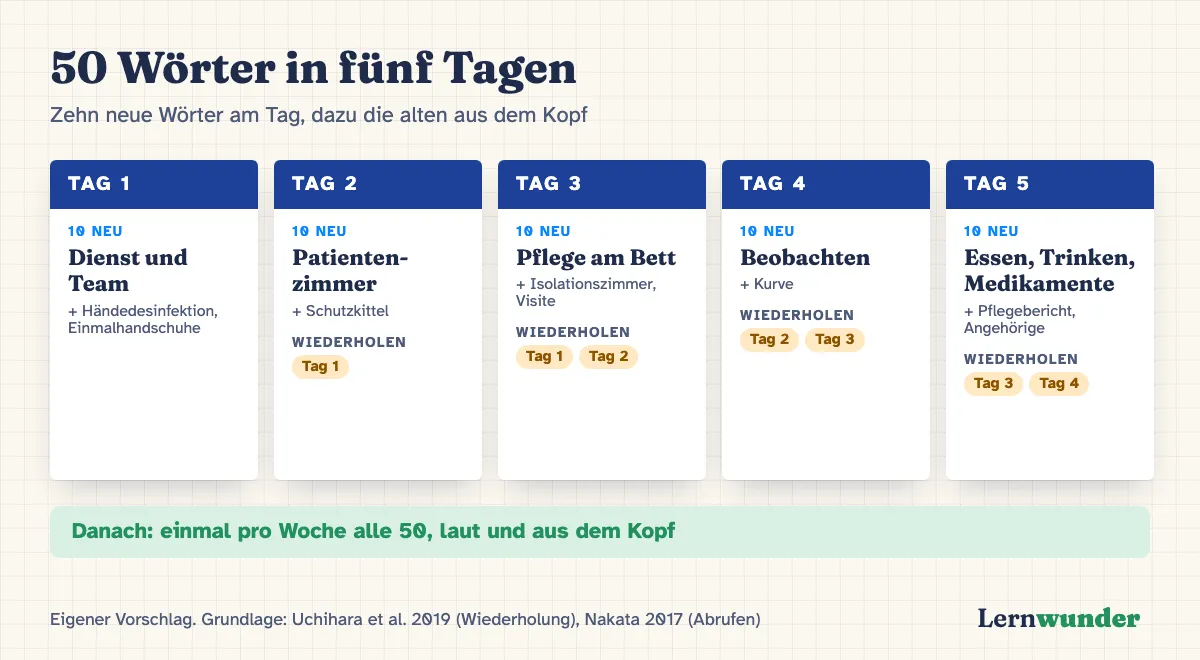 Grafik: Fünf Tage, je zehn neue Wörter und Wiederholung der alten. Tag 1: Dienst und Team, dazu Händedesinfektion und Einmalhandschuhe. Tag 2: Patientenzimmer und Schutzkittel, Tag 1 wiederholen. Tag 3: Pflege am Bett, Isolationszimmer und Visite, Tage 1 und 2 wiederholen. Tag 4: Beobachten und Kurve. Tag 5: Essen, Trinken, Medikamente, Pflegebericht und Angehörige. Danach: einmal pro Woche alle 50.
