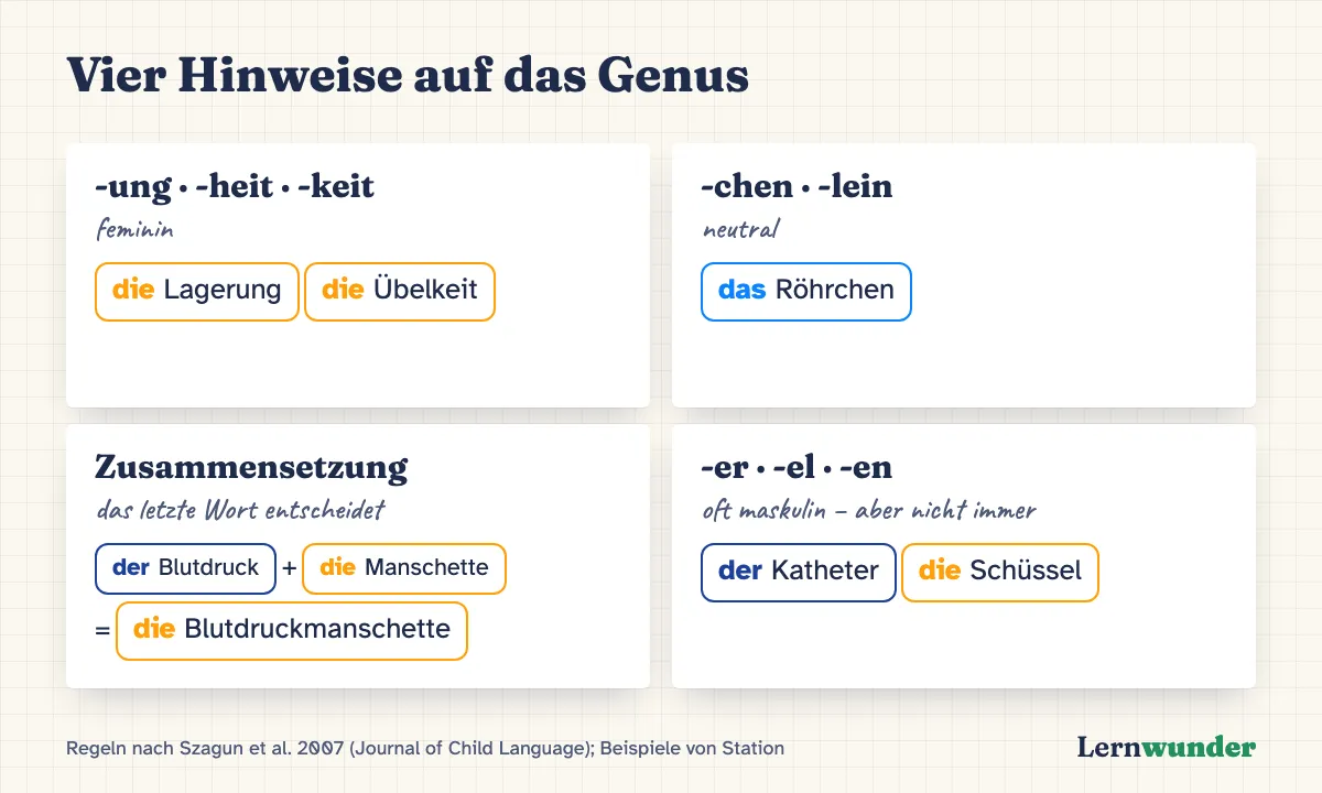 Grafik: Vier Hinweise auf das Genus mit Beispielen von Station. -ung, -heit, -keit sind feminin (die Lagerung). -chen ist neutral (das Röhrchen). Zusammengesetzte Wörter richten sich nach dem letzten Teil (die Blutdruckmanschette). -er, -el sind oft maskulin, aber nicht immer (der Katheter, die Schüssel).
