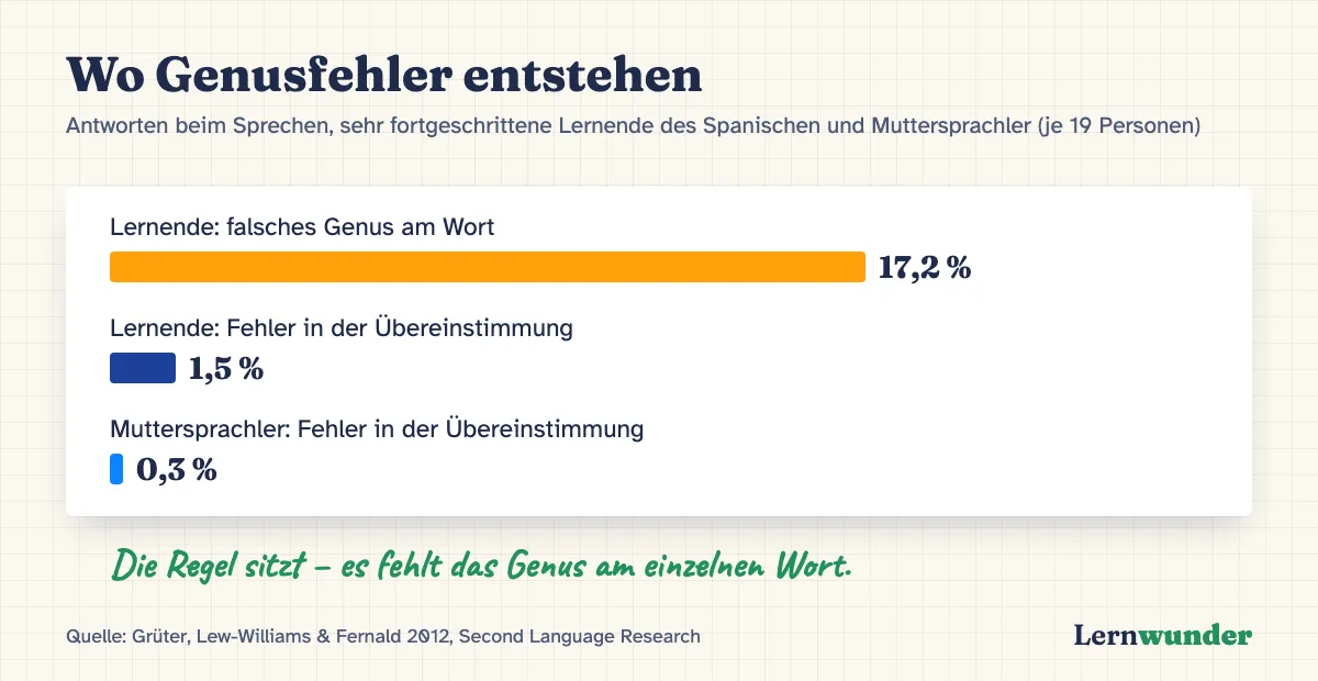 Grafik: Wo Genusfehler entstehen. Bei sehr fortgeschrittenen Lernenden waren 17,2 Prozent der Antworten falsche Genuszuordnungen des Wortes, aber nur 1,5 Prozent Fehler in der Übereinstimmung. Muttersprachler: 0,3 Prozent. Studie zum Spanischen mit je 19 Personen.